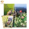 bo-gan-365-38-1