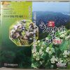 bo-gan-365-38-2
